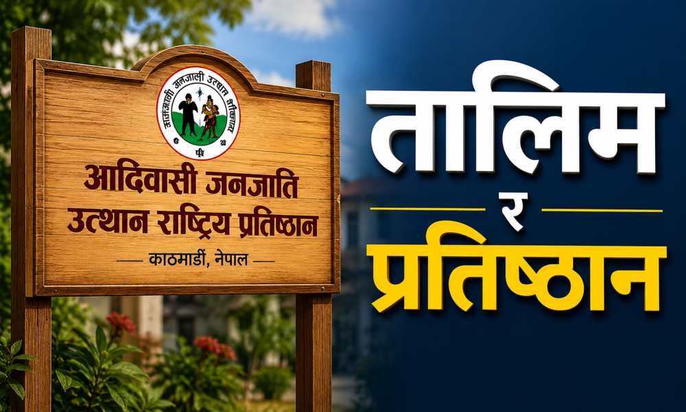 प्रतिष्ठानले निःशुल्क डिजिटल मिडिया र एआई एडभान्स तालिम सञ्चालन गर्ने  