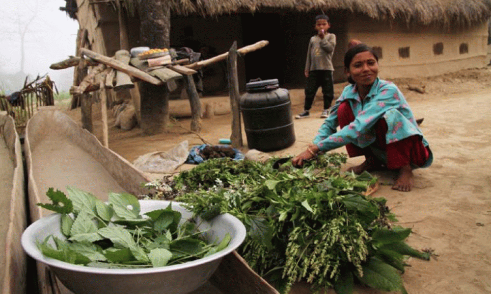 प्रमिला बोटे, घरेलुकिटनाशक औषधी बनाउँदै, स्रोत प्राक्टीकल एक्सन नेपाल