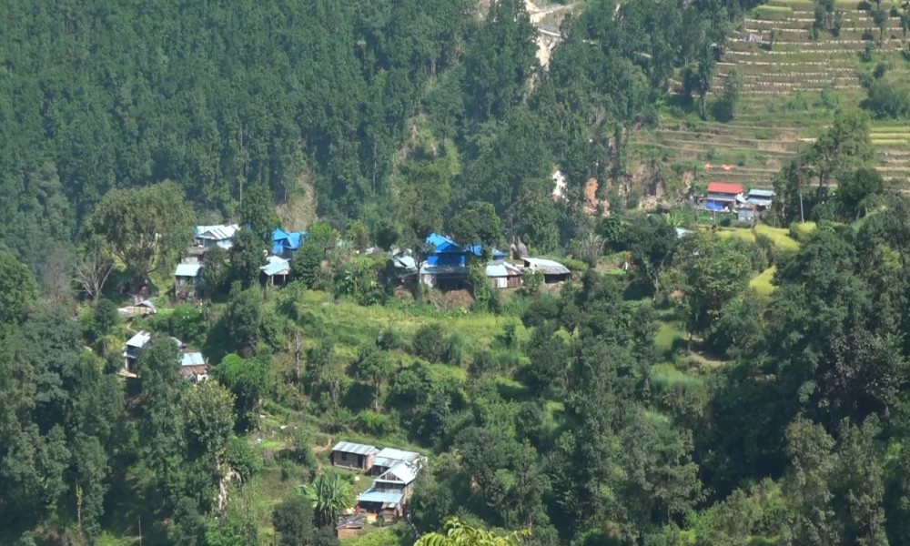 आदिवासीलाई पारेको जोखिमको लेखाजोखा नै नगरी कार्वन व्यापारबाट प्राप्त लाभको हर्षबढाइँ