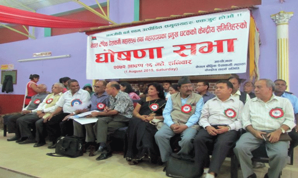 नेपाल बौद्धिक पेशाकर्मी महासंघ गठन