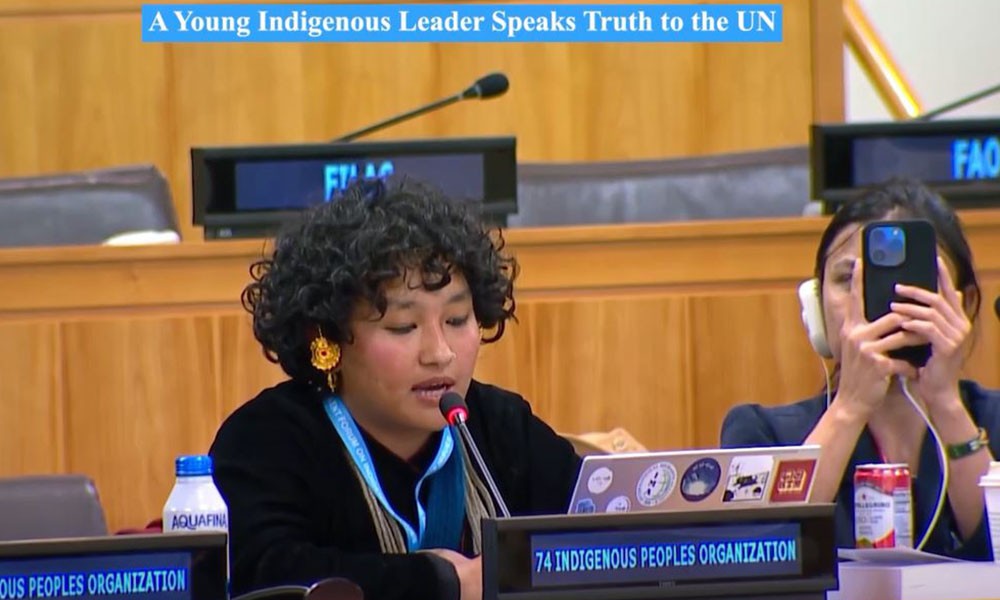 संयुक्त राष्ट्रसंघीय मञ्चमा तामाङ समुदायको मुद्दा उठाइयो, तामाकोशी परियोजनाबाट आदिवासी महिलामाथि गम्भीर असर पुगेको दावी